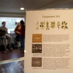 Bellingham’s Smoking Crow -Terpenes 101-2