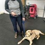 Brigadoon Service Dogs-LisaButtercup