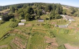 Biodynamics Demystified with Brian Kerkvliet @ Chuckanut Center | Bellingham | Washington | United States