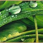 Morning Mist – 24×48 Acrylics on Canvas 2016