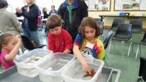 Kids Night Out at Western (KNOW) - Engineering for Salmon @ SEA Discovery Center | Poulsbo | Washington | United States