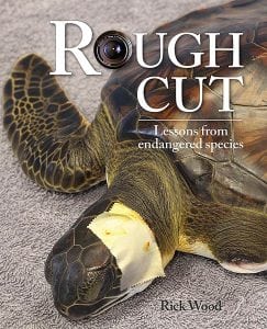 Rough Cut: Lessons from Endangered Species @ WCLS Ferndale Library | Ferndale | Washington | United States
