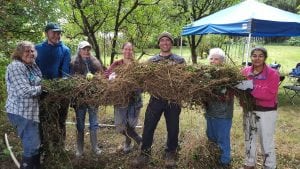Invasive Forest Weed Control Field Practicum @ Alexander Ross Tree Farm | Bellingham | Washington | United States