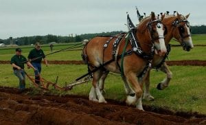 International Plowing Match @ Berthusen Park West Field | Lynden | Washington | United States