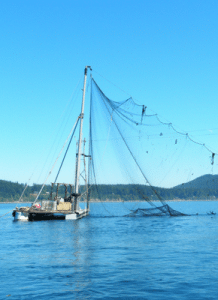 Deep Dive Into Whatcom's Fishing Sector: WFN Spring Forum @ Squalicum Boathouse | Bellingham | Washington | United States
