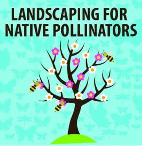 Landscaping for Native Pollinators @ WCLS South Whatcom Library | Bellingham | Washington | United States