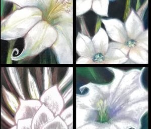A Walk Along the Garden Path @ Fourth Corner Frames & Gallery