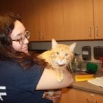 Whatcom Humane Society Maria and a kitty
