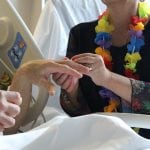 PeaceHealth St. Joseph Medical Center 4