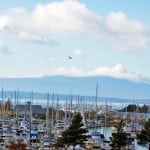 Scenic bellingham-bay-boats-stacee-sledge