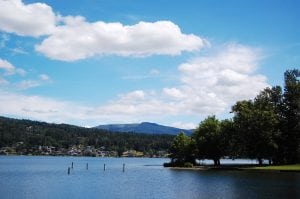 June’s Words of a Feather: the Sue C. Boynton Poetry Contest @ Allied Arts Gallery