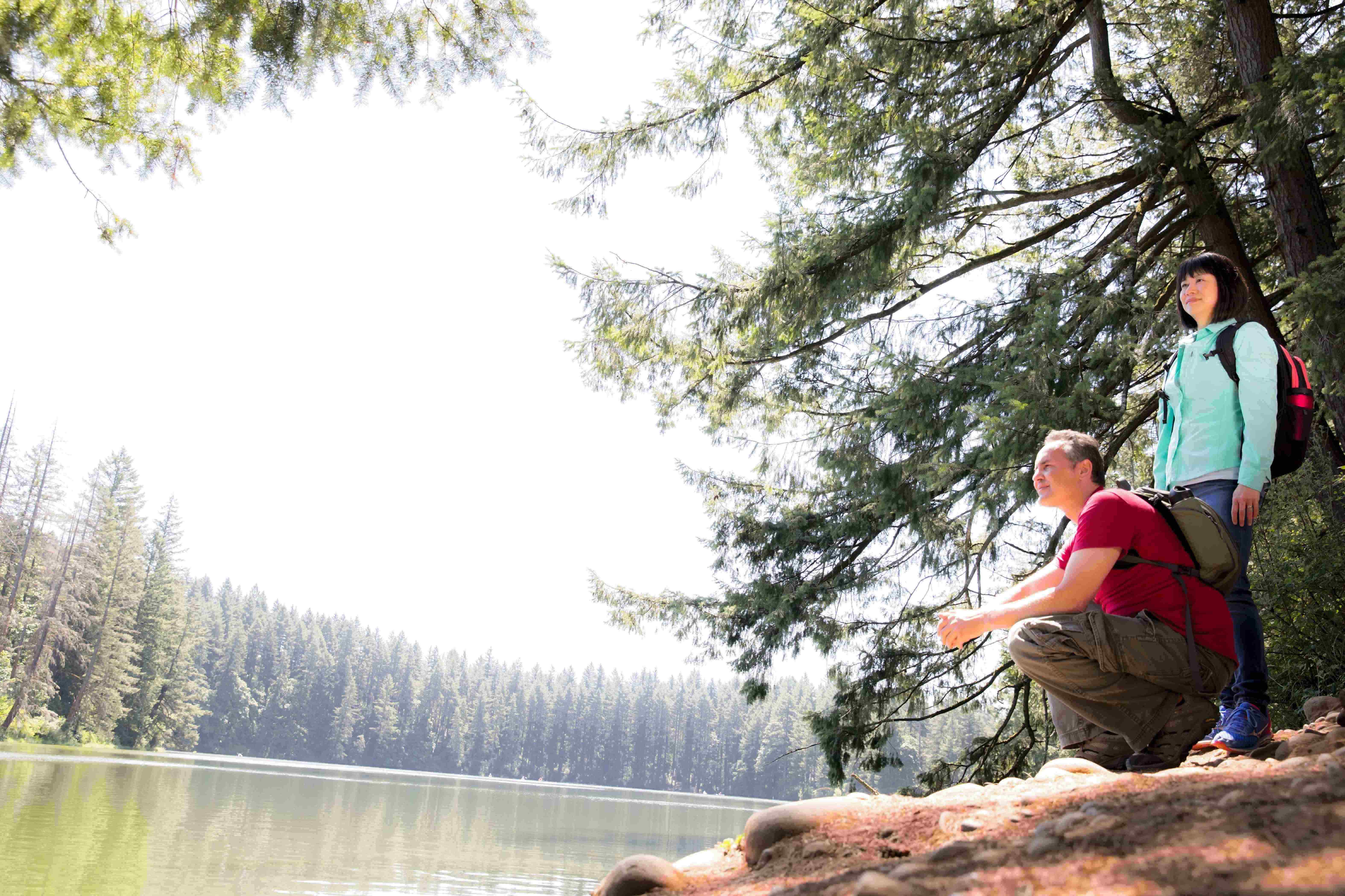 A Whatcom County Spring Is Nothing To Sneeze At Whatcomtalk