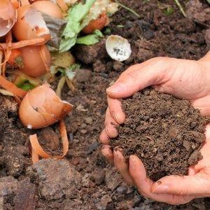 Gardening with Indigenous Microorganisms with Peter Jackson @ Chuckanut Center | Bellingham | Washington | United States