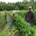 Cedarville Farm feat