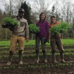 Cedarville Farm helpers