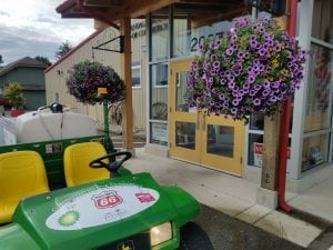 Ferndale Chamber of Commerce gets a new Gator