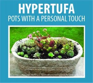 Pots with a Personal Touch - Hypertufa @ WCLS South Whatcom Library | Bellingham | Washington | United States