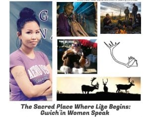Sacred Place Where Life Begins: Arctic Film Tour @ Bellingham Unitarian Church | Bellingham | Washington | United States