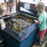 Marine Life Center Casey Pruitt Teaching Kids