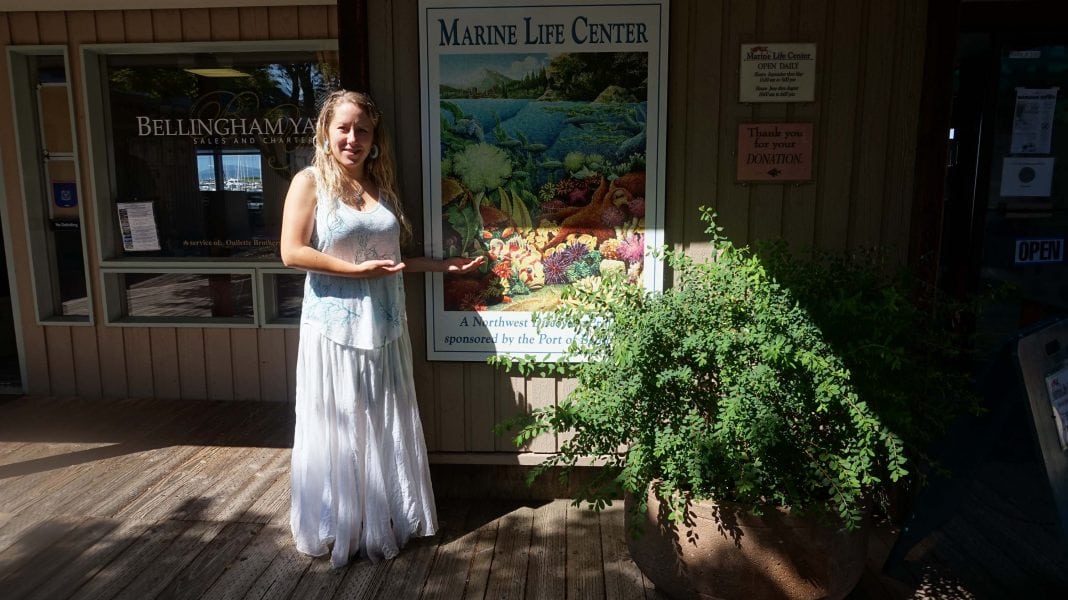 Get Up Close and Personal with Puget Sound at the Marine Life Center