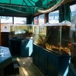 Marine Life Center Exhibits