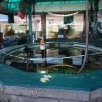 Marine Life Center open tank
