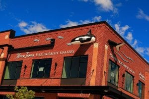 Peter James Photography Gallery - Grand Opening @ Fairhaven's Orca Building | Bellingham | Washington | United States
