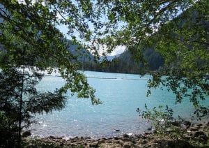 June’s Words of a Feather: the Sue C. Boynton Poetry Contest @ Allied Arts Gallery