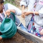 Whole Kids Foundation 1