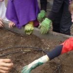 Whole Kids Foundation 5