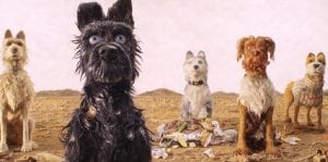 dog days at the pickford