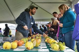 Cloud Mountain's Annual Fall Fruit Festival @ Cloud Mountain Farm Center | Everson | Washington | United States