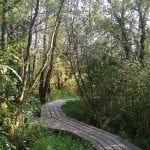 Tennant Lake-boardwalk
