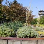 Tennant Lake-garden and tower