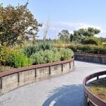 Tennant Lake-garden paths