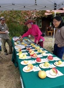 Cloud Mountain’s Annual Fall Fruit Festival @ Cloud Mountain Farm Center | Everson | Washington | United States