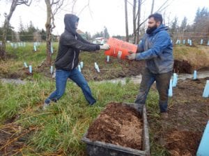 NSEA Community Work Party at Squalicum Creek @ Nooksack Salmon Enhancement Association | Bellingham | Washington | United States