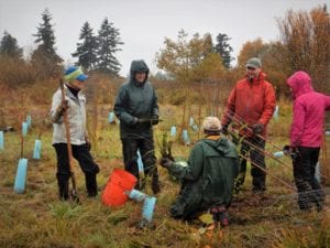 NSEA Community Work Party at Butler Creek @ Butler Creek | Ferndale | Washington | United States