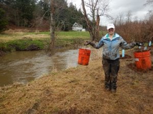 NSEA Community Work Party at Squalicum Creek @ Nooksack Salmon Enhancement Association | Bellingham | Washington | United States