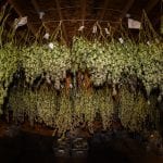 Treedom Dry Room