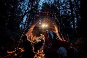 Scotch Broom Removal with NSEA and Whatcom Land Trust