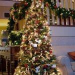 Samson Tree