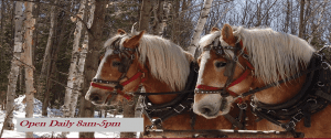 Sleighbells Ring – BelleWood’s Holiday Festival @ BelleWood Acres | Lynden | Washington | United States