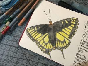 Illustrated Field Journaling @ North Cascades Environmental Learning Center