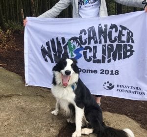 The Northwest Cancer Climb (NWCC) @ Samish Overlook