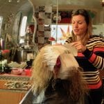 hairstream 7