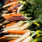well fed farms 1