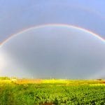 well fed farms 5
