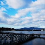 taylor dock