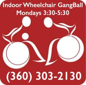 Indoor Wheelchair GangBall @ Indoor Wheelchair GangBall